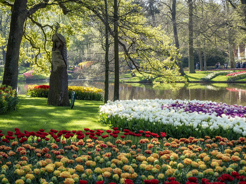 Tour Amsterdam, l'Olanda ed il magico parco dei tulipani